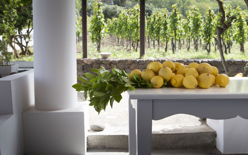 Food and wine experiences Sicily- Dominique Rizzo