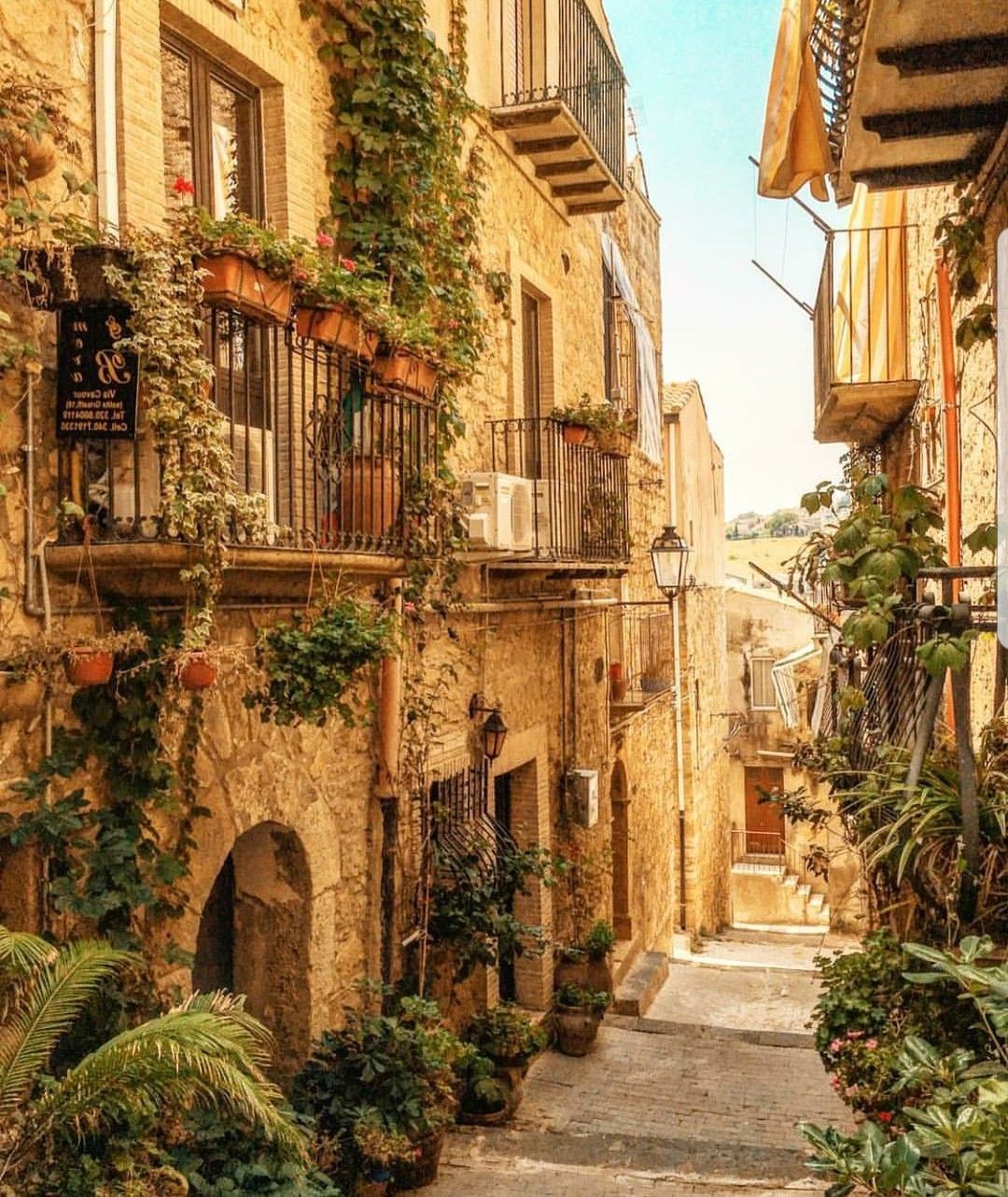 Historical Sicily - Dominique Rizzo