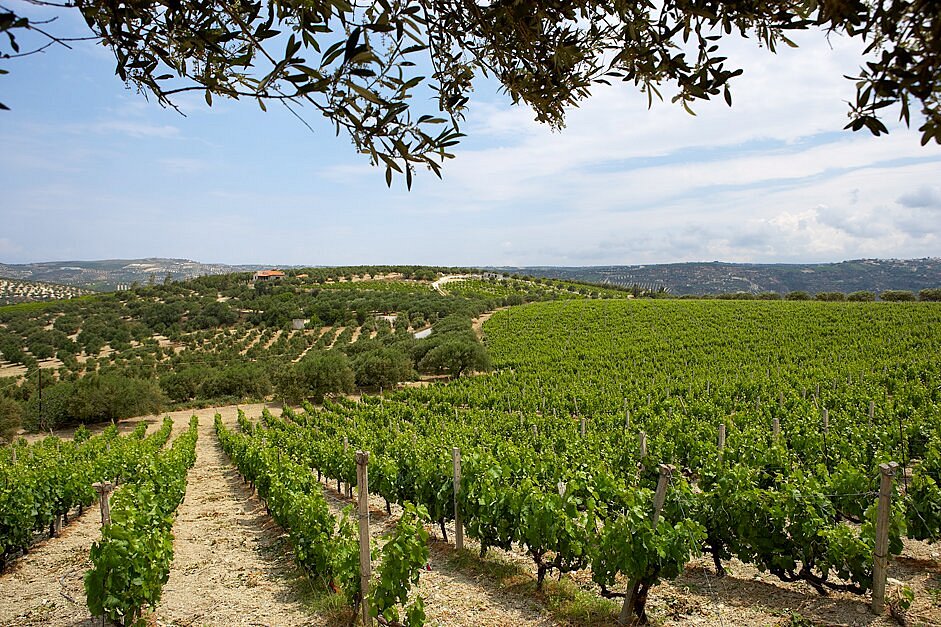 Discover Athens & Crete