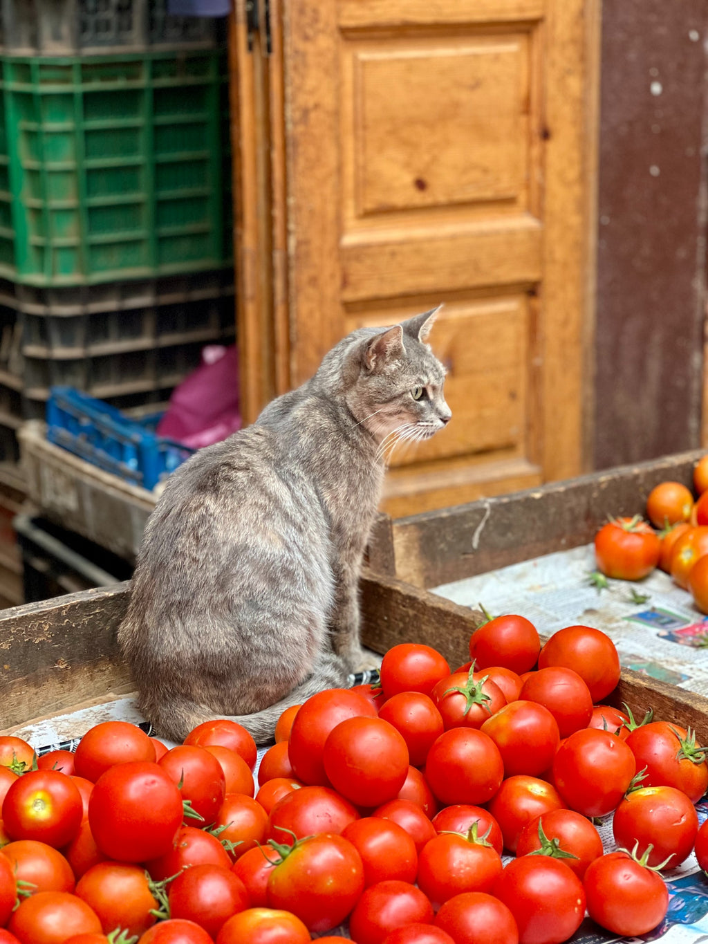 Morocco - The Grand Moroccan Journey