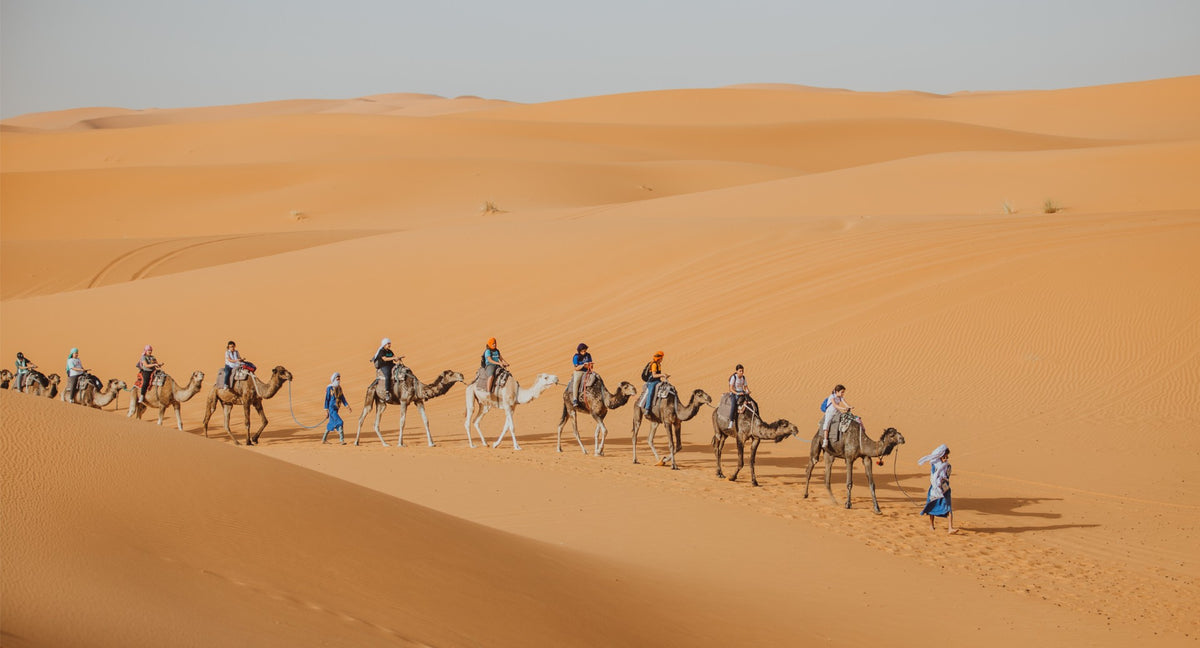 Morocco - The Grand Moroccan Journey