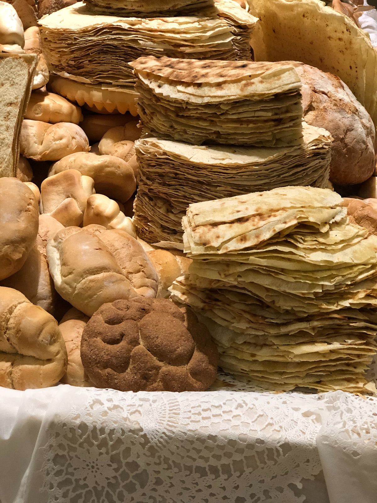 Discover Sardegna (2028)