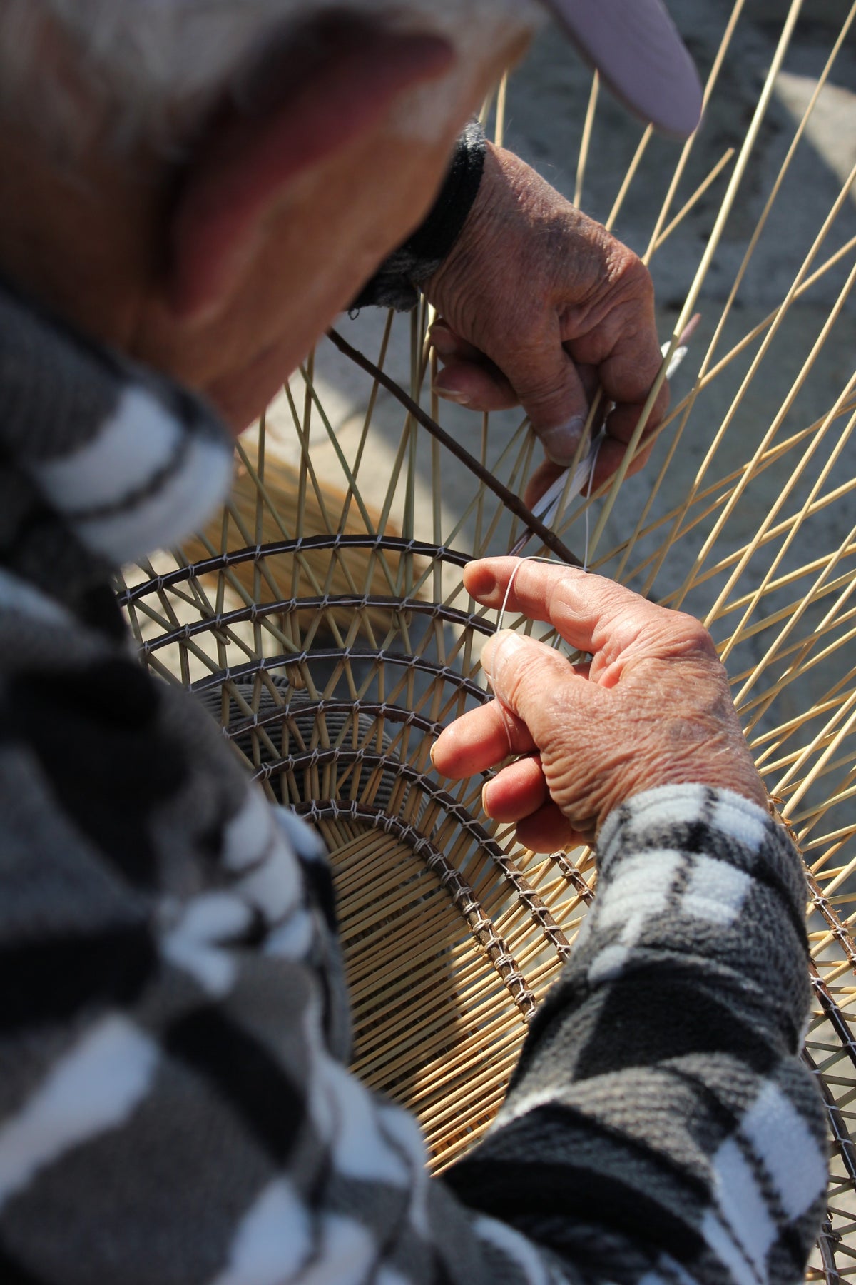 Discover Sardegna (2028)