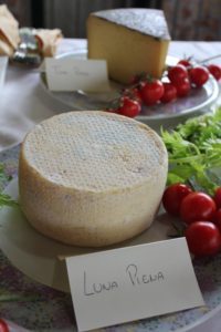 Italian cheese - Dominique Rizzo Italy Food Tours