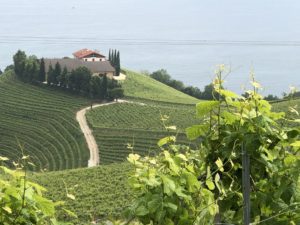 IMG_4064