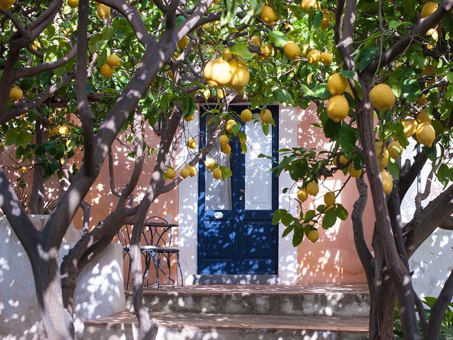 Lemons outside one of the hotel rooms